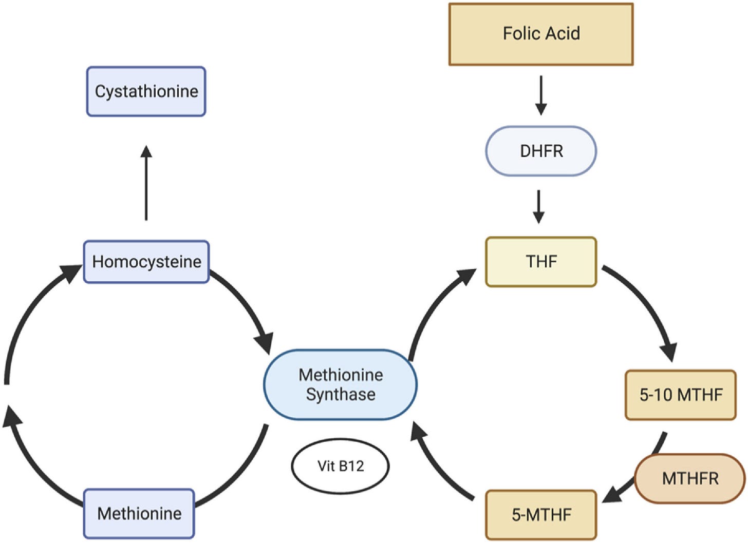 Could a vitamin deficiency cause 'double-jointedness' and hypermobile Ehlers-Danlos syndrome?