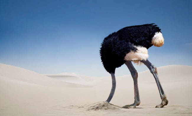 Avoid The Ostrich Effect | Jesús Gil Hernández