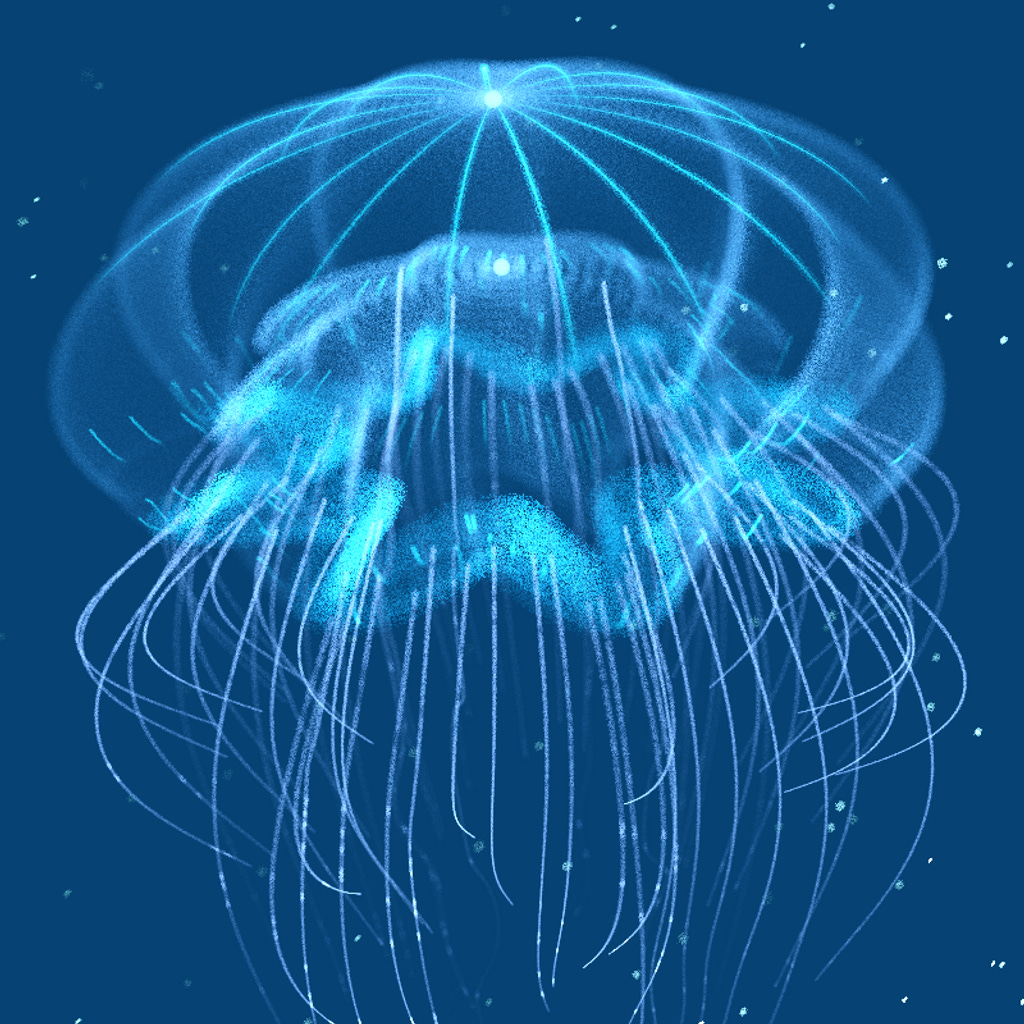 Creatures of the Deep #1 - The Jellyfish #11