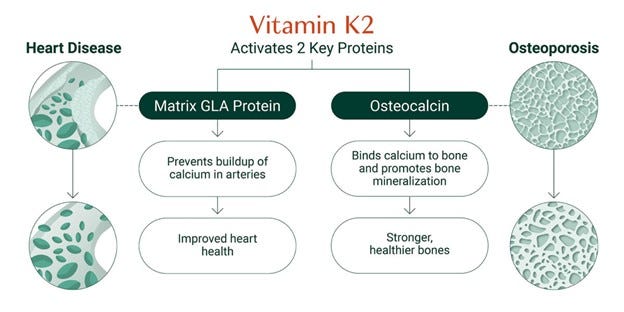 vitamin K-2 