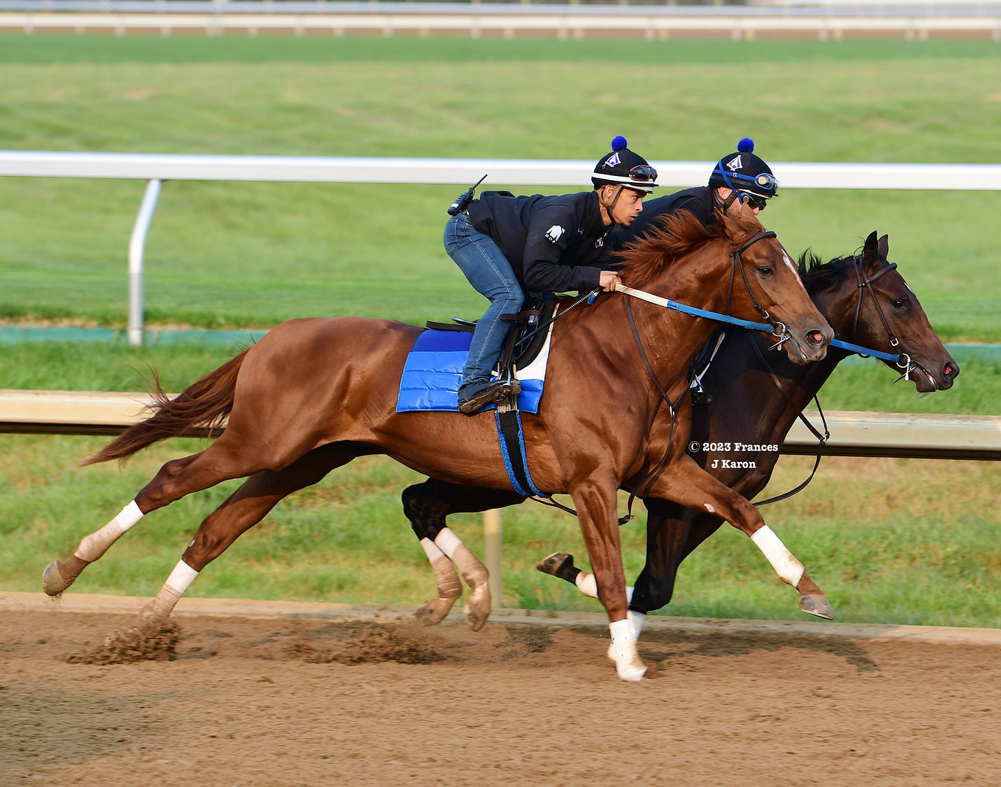 Hall of Fame (outside) breezing at Keeneland as an unraced two-year-old.