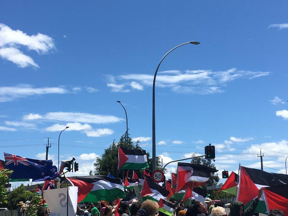 protests carry Palestine, Tino Rangitiratana and New Zealand flags
