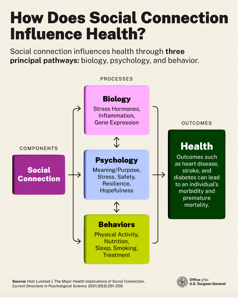 How does social connection influence health? Three main pathways contribute. 1. Biology. 2. Psychology. 3. Behaviour.