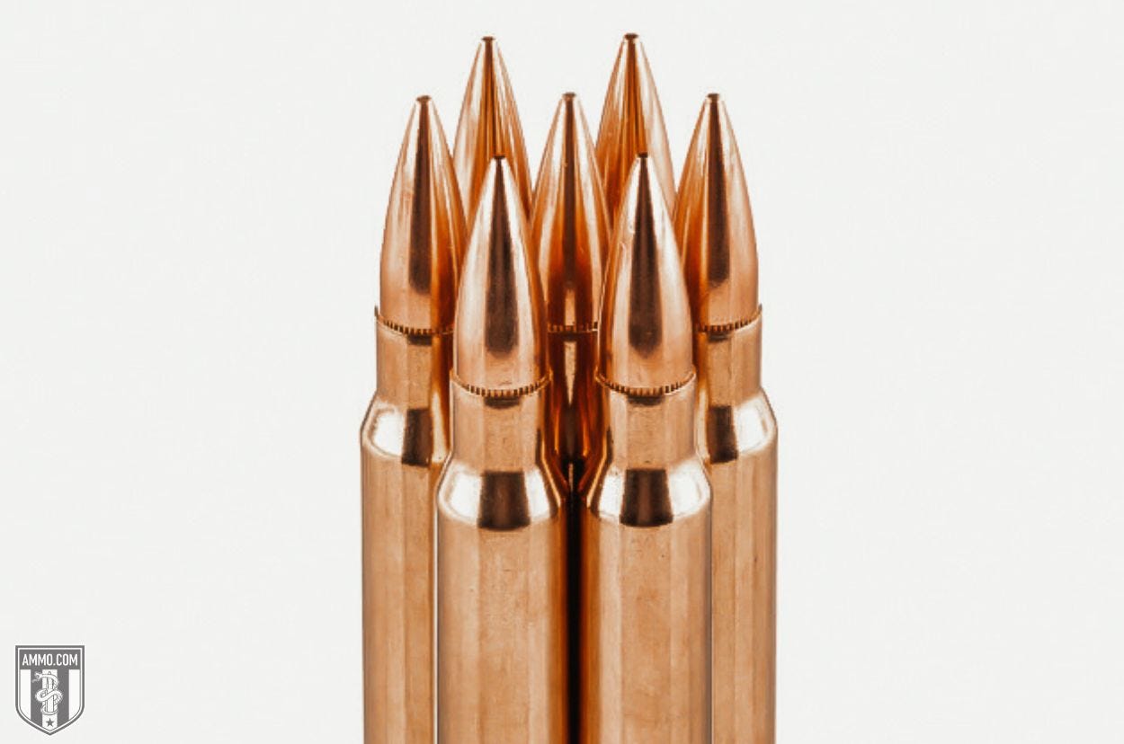 6.5 Grendel ammo