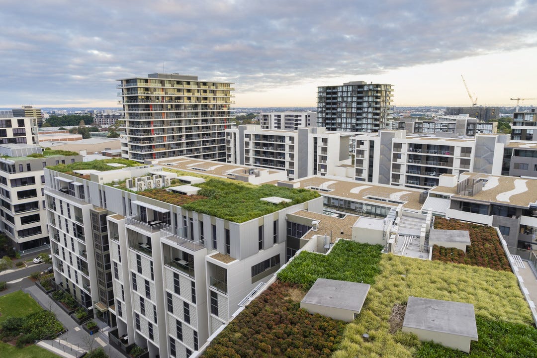 Does a green roof make sense for your commercial building?