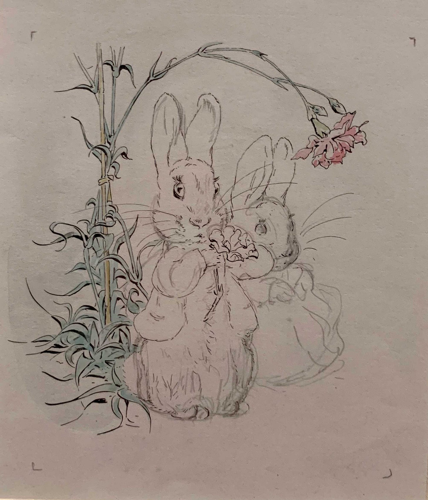 Beatrix Potter sketch and ink with some watercolor painting