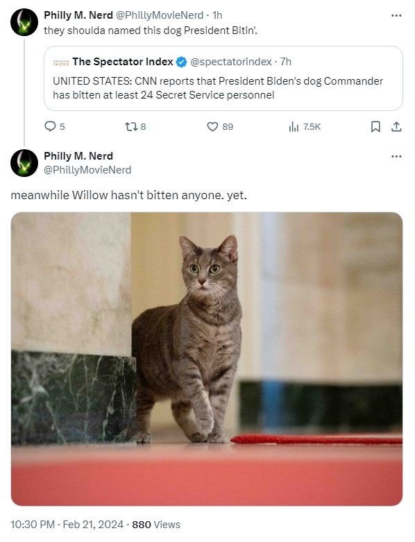 Pair of tweets re Commander's biting problem. 1) they shoulda named this dog President Bitin'  2) 'meanwhile Willow hasn't bitten anyone. yet.' Photo of a lovely grey tabby with big wide-open green eyes.