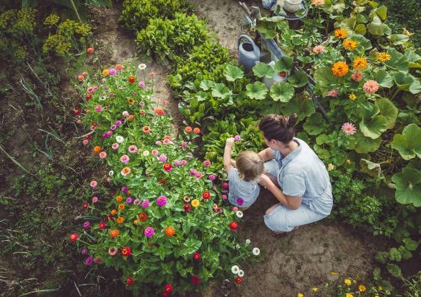 Woman With Son in a Home Grown Garden Woman With Son in a Home Grown Garden garden stock pictures, royalty-free photos & images