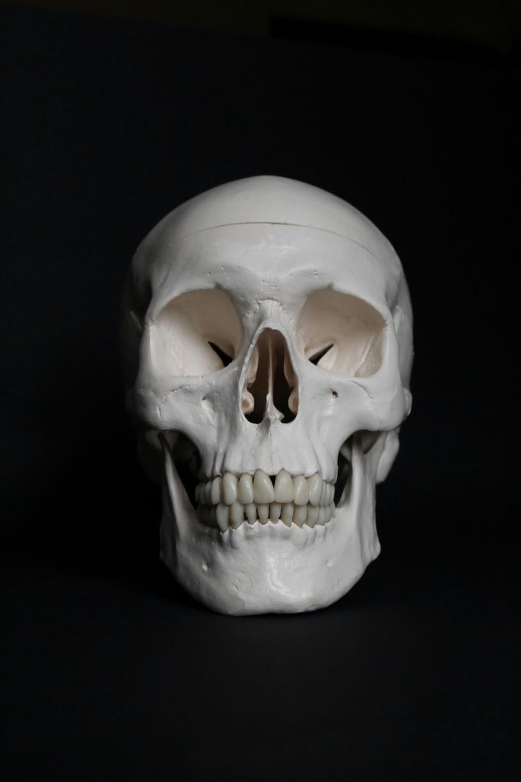 white skull on black background