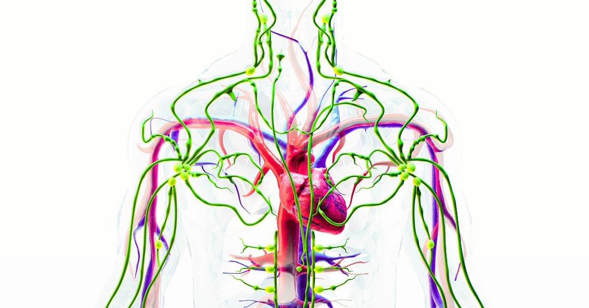 Upper Torso Lymphatic System - Soul Trine