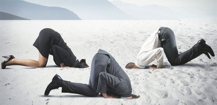Lamestream media journalists with their heads in the sand.