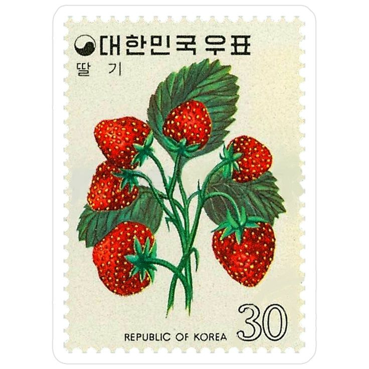This may contain: a stamp with strawberries on it and the words republic of korea written in korean