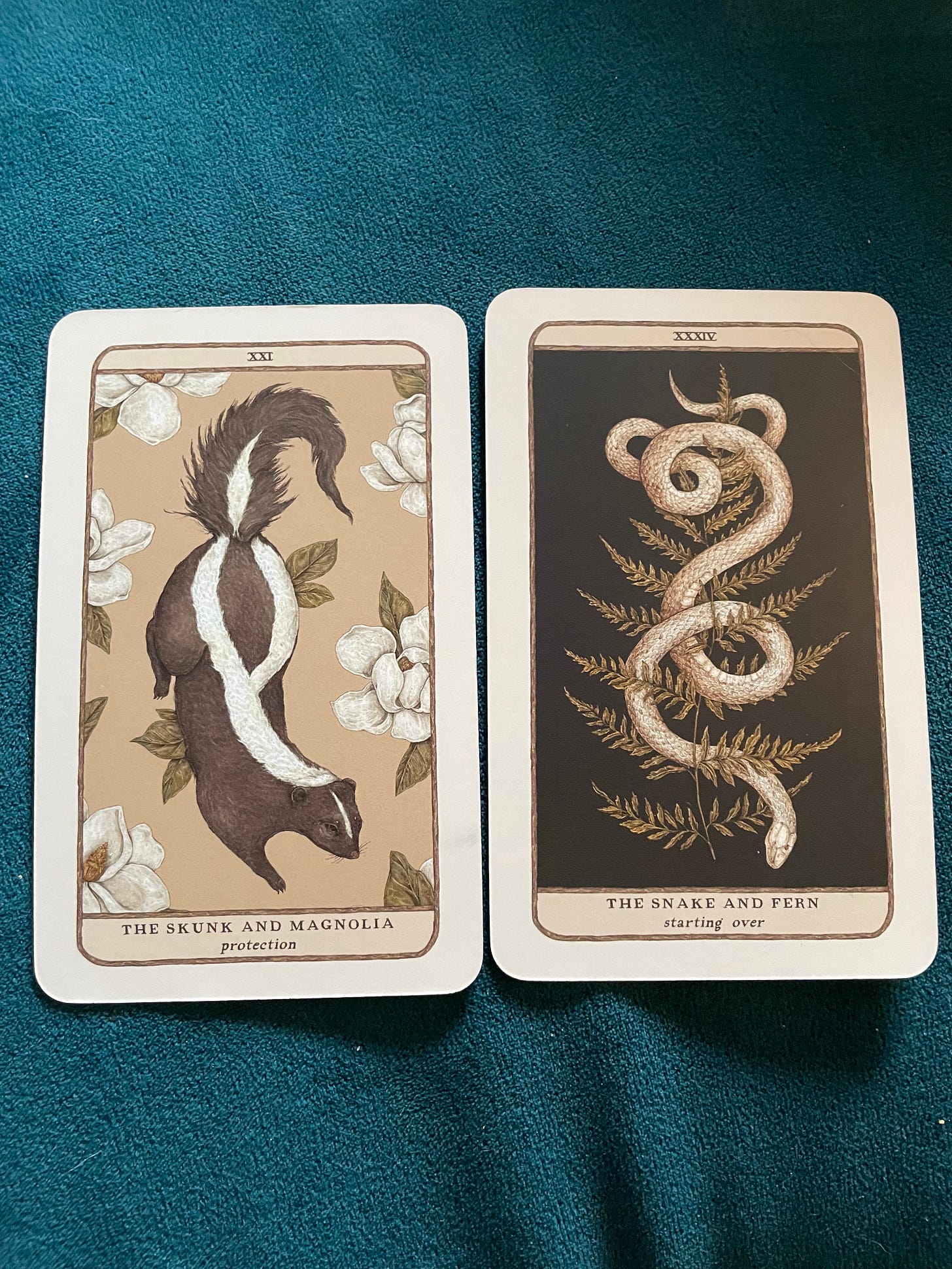 blue background with two illustrated cards on it. one has a skunk and magnolia flowers and says protection and the other has a snake and a fern and says starting over