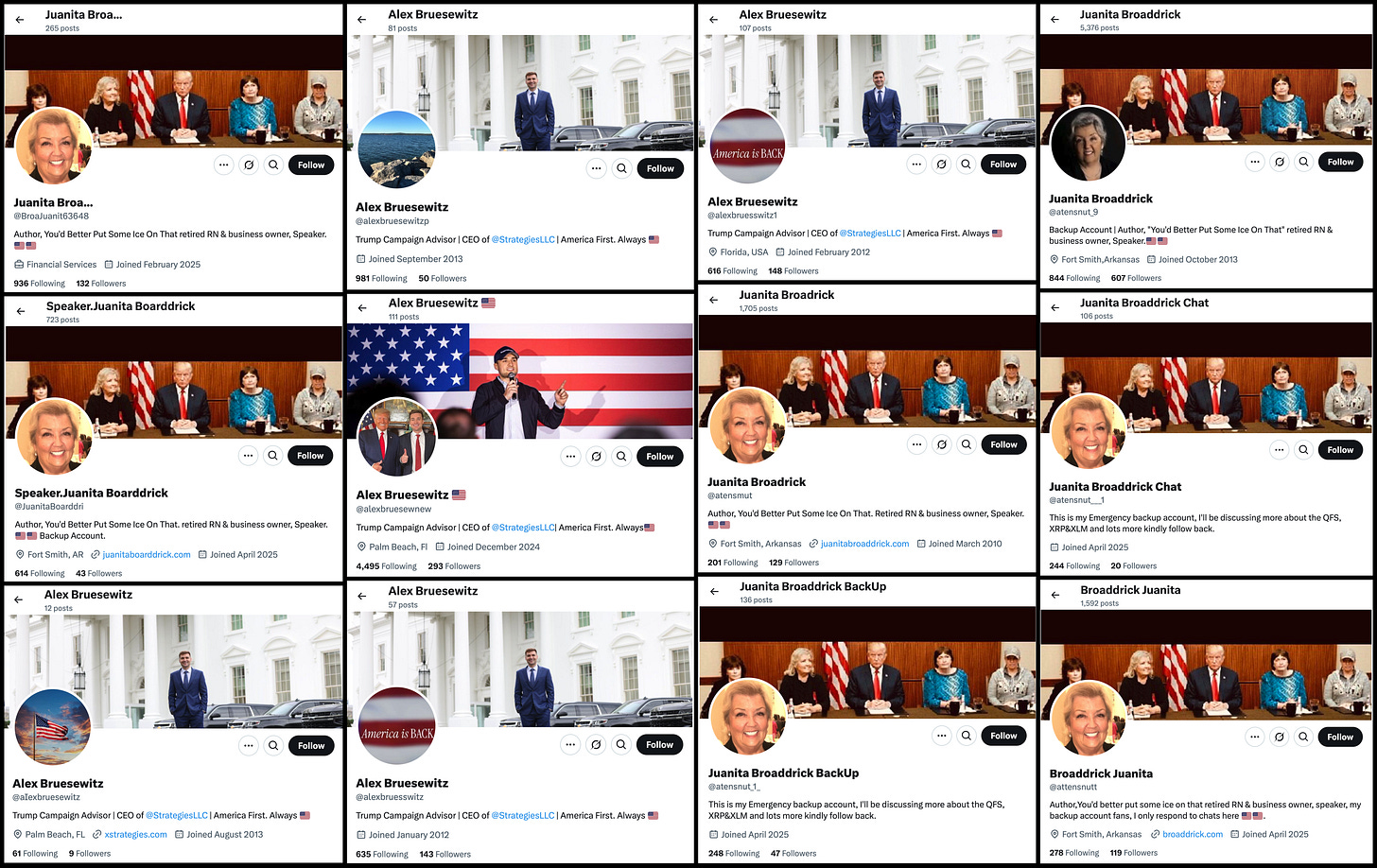 profiles of 12 X accounts, 5 impersonating Alex Bruesewitz and 7 impersonating Juanita Broaddrick