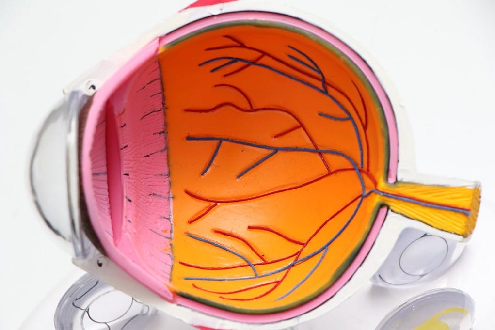 Links Semaglutide (Wegovy and Ozempic) to Elevated Risk of Severe Eye Condition NAION Links Semaglutide (Wegovy and Ozempic) to Elevated Risk of Severe Eye Condition NAION