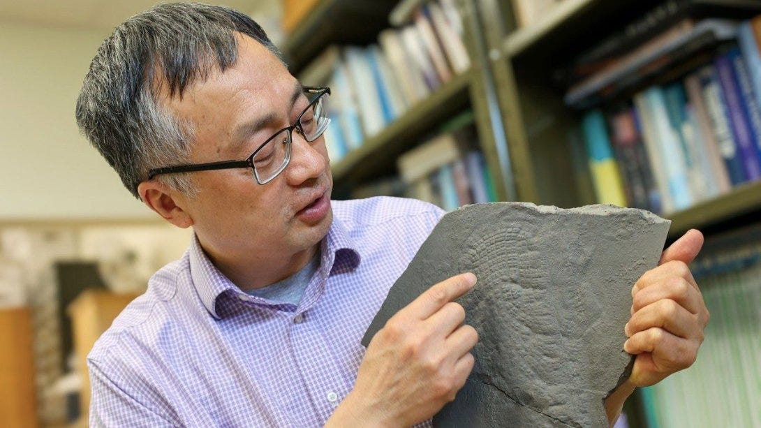 Le docteur Xiao et son fossile d'éponge préféré