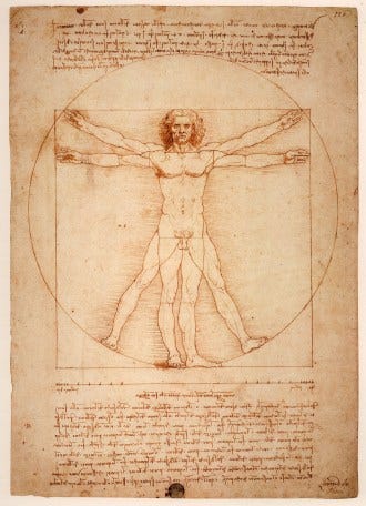 Vitruvian Man Drawing