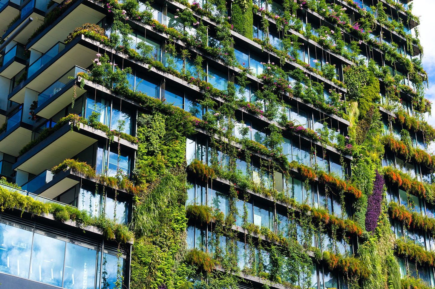 Green Buildings Are More Ecological And Cost-Effective