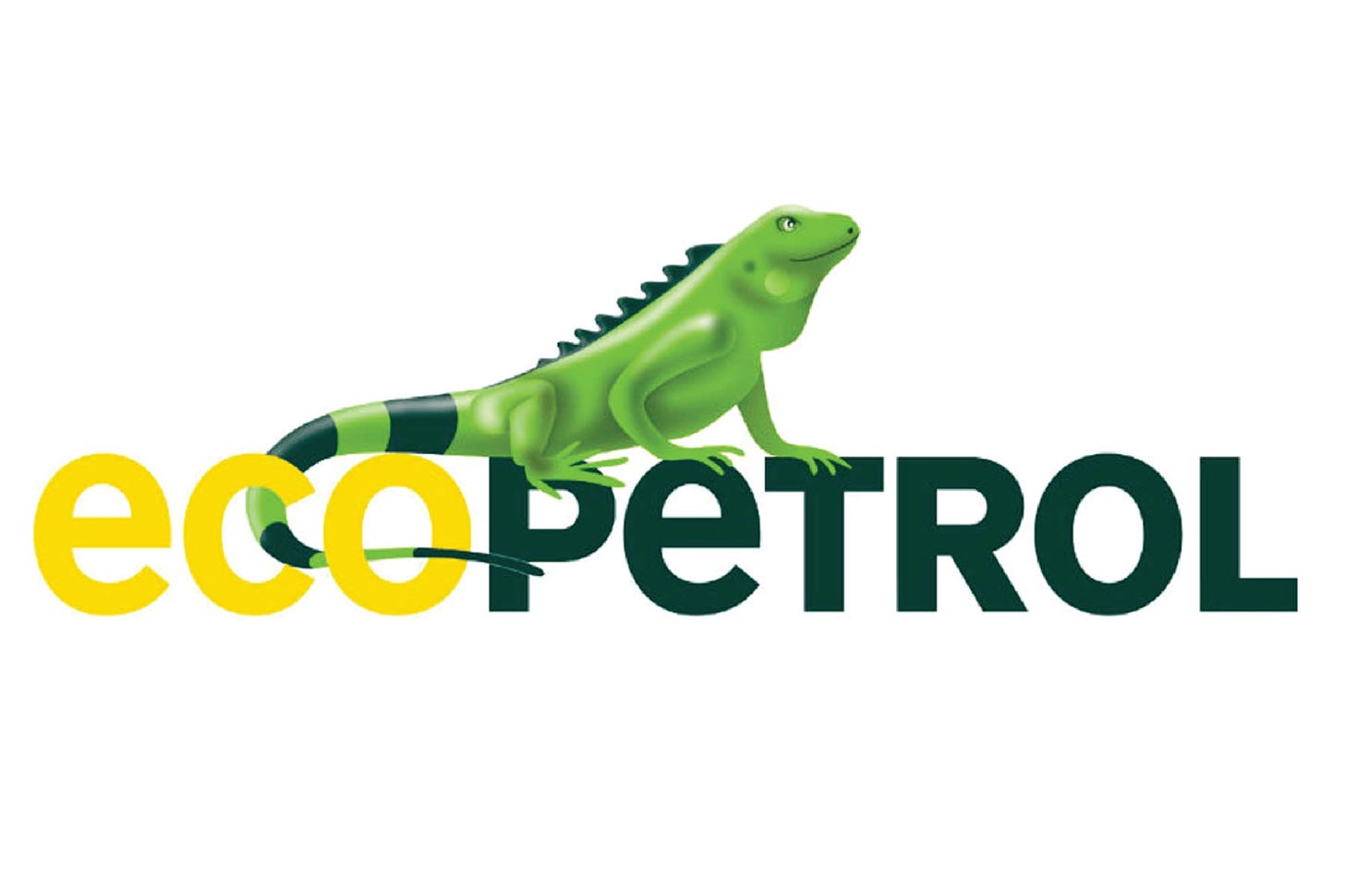 Ecopetrol logo - CMSoftlutions