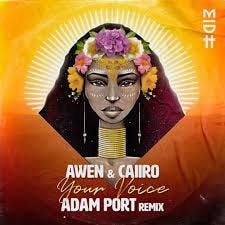 & Caiiro - Your Voice (Adam Port Remix ...