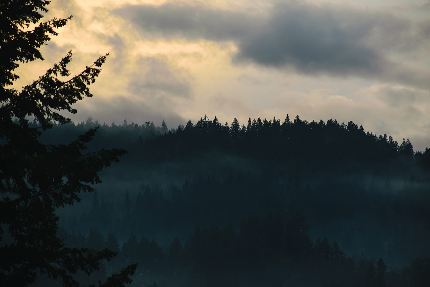 Fog rolls across the ridgeline in Eugene, Oregon.