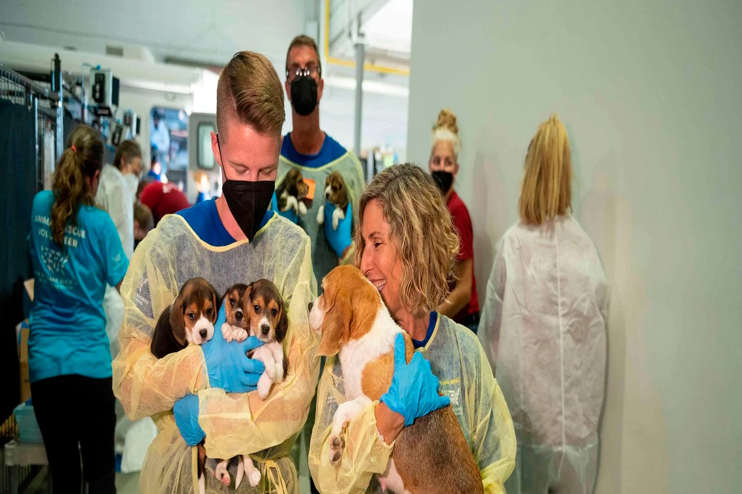 Beagles being carried out from an animal testing lab by two humans smiling.