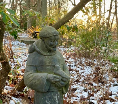 St Francis in the mid-winter Woodland’s golden hour. 