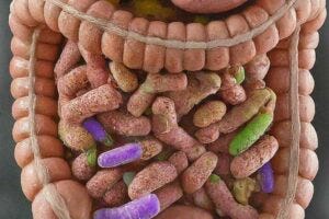 A generated image showing a human gut with various types of bacteria, accompanied by a personalized treatment plan featuring antibiotics, probiotics, and prebiotics