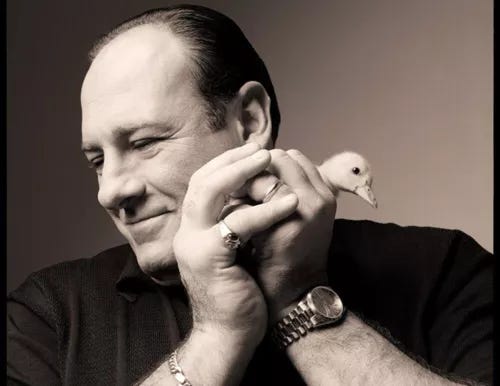 Fotografia de James Gandolfini, o chefe da máfia SOPRANOS, Tony Soprano Baby Duck - Foto 1 de 1