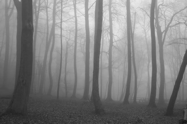 Image - 33189] | Slender Man | Creepy woods, Slenderman, Landscape paintings