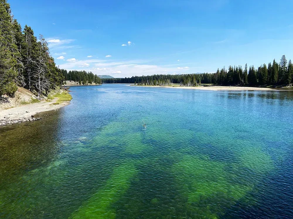 A beautiful river with greenish, blue water at Yellowstone National Park