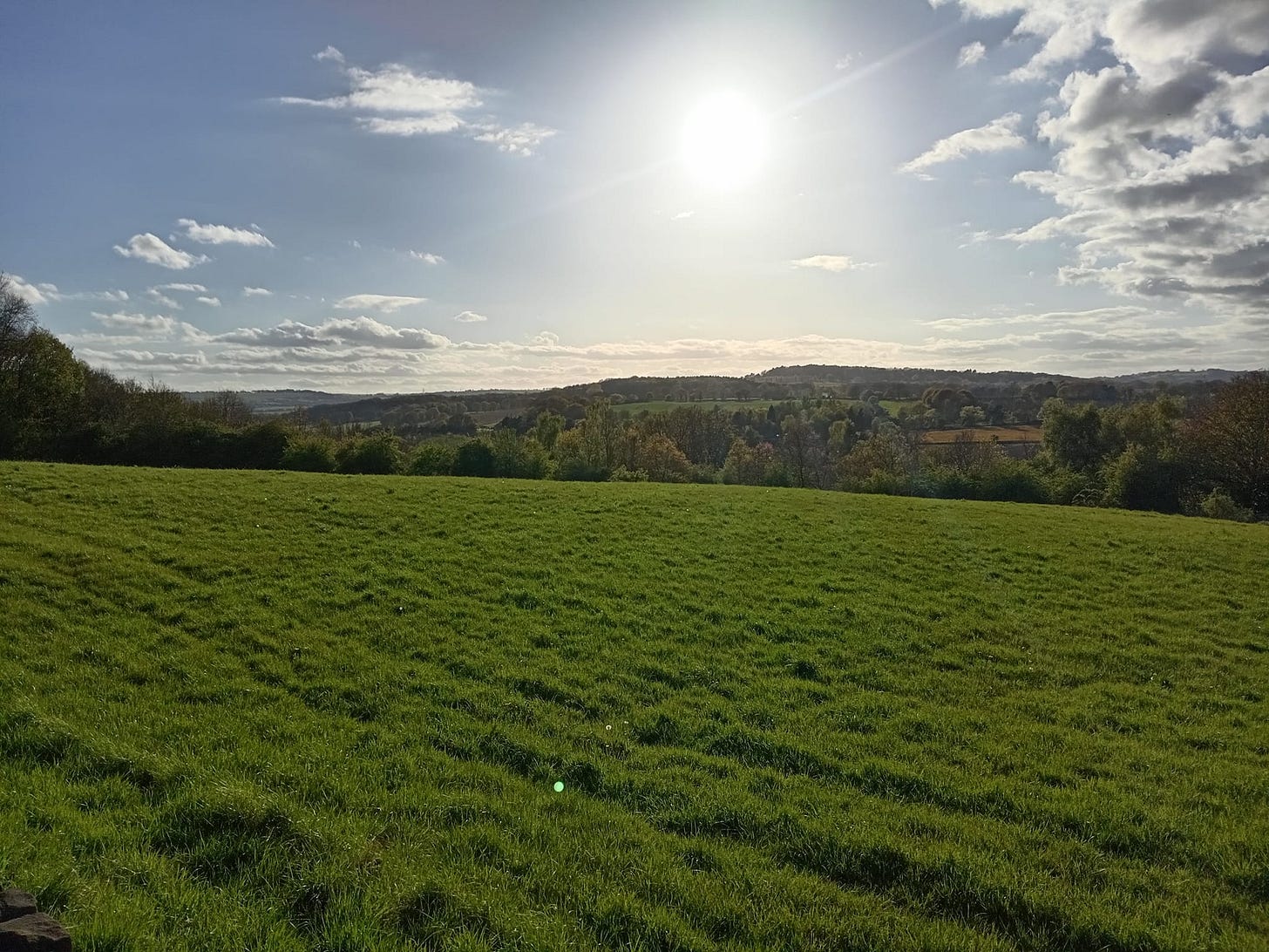 May be an image of silo, grass, tree, twilight and horizon
