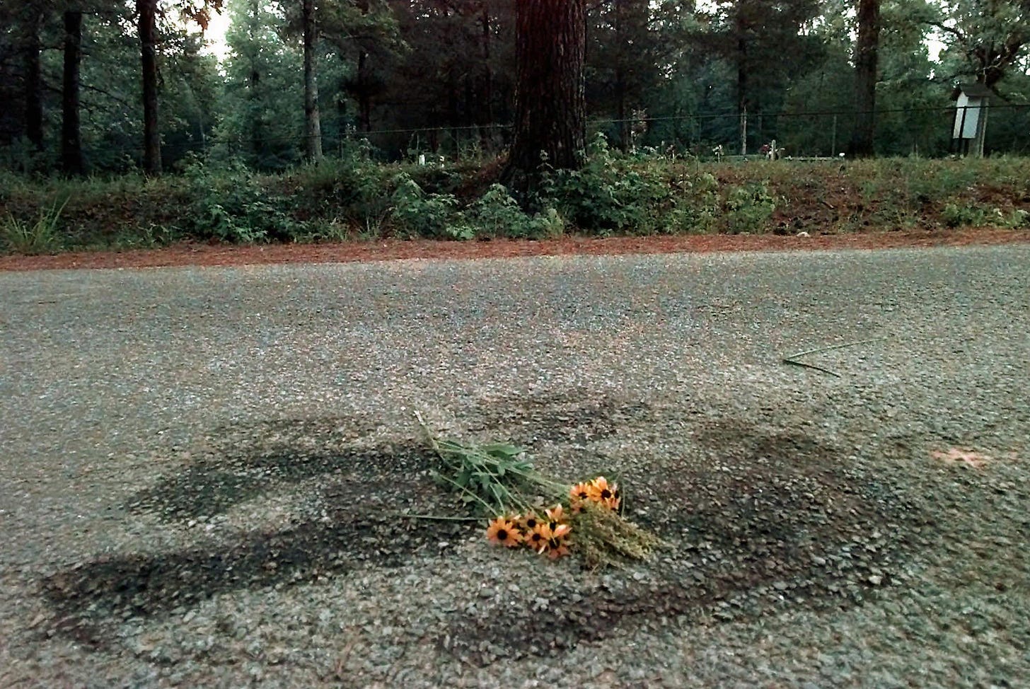 Yes, anti-lynching laws are mostly symbolic. That's what makes them  important. - The Washington Post