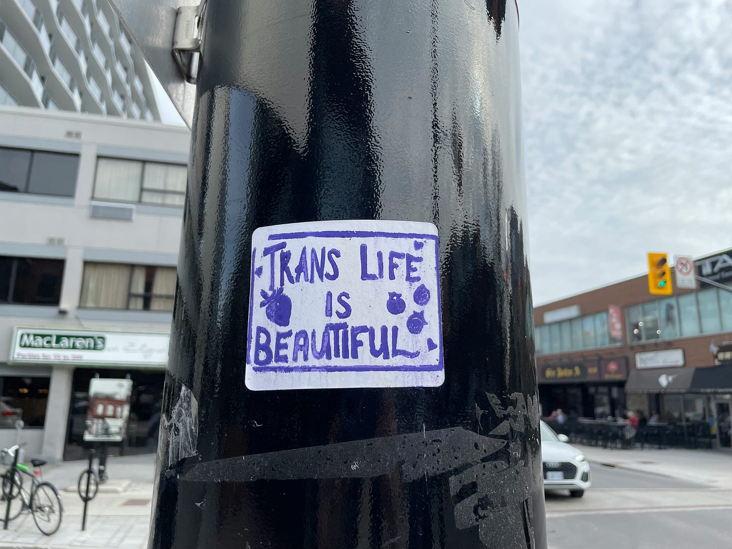 Image description: A white sign on a black pole with purple text saying "Trans life is beautiful."