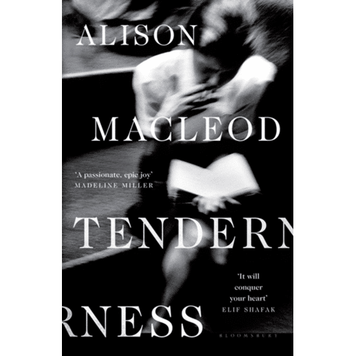 Alison MacLeod - Tenderness (Innbundet)