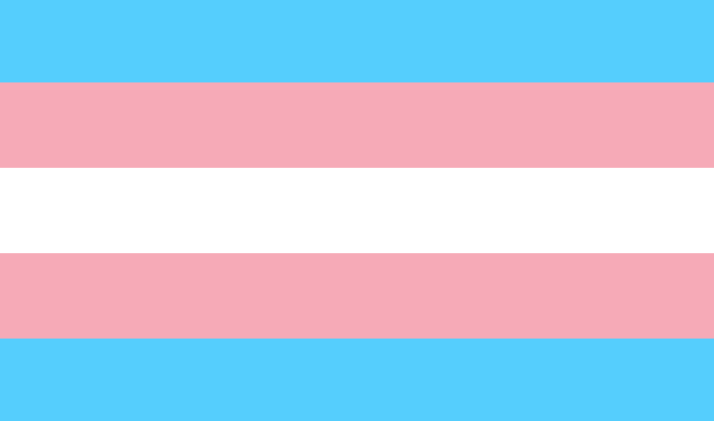 The History of the Transgender Flag | Point of Pride