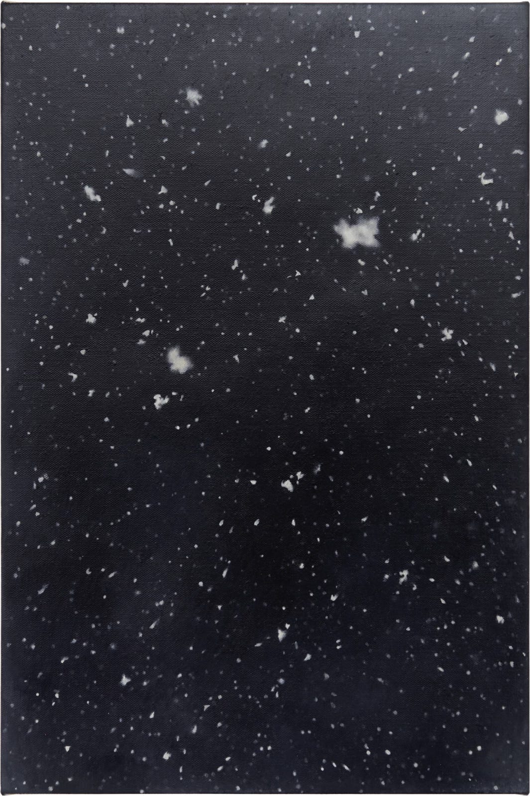 The painting Snowfall (Coat) by Vija Celmins. A field of black with many white dots: some tiny and sharp, as if in perfect focus, others are larger and blurred as if too close to the camera. The sensation is of snow falling from a night sky but the painting is described by the gallery as snow accumulating on a black coat.