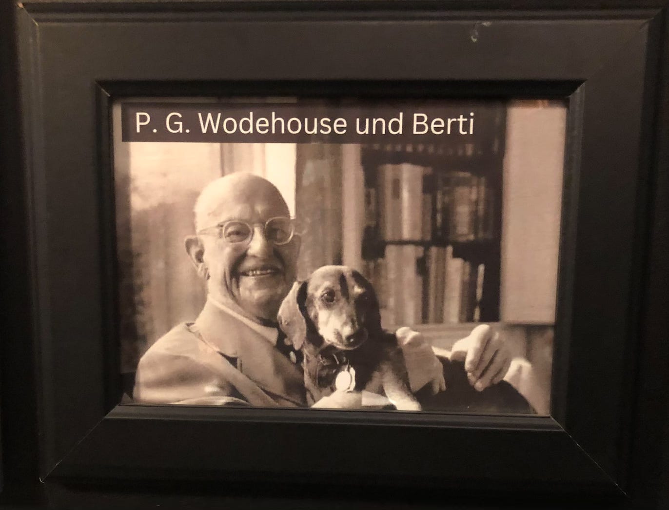 Sort-hvitt fotografi av forfatteren PG Wodehouse, en gammel skallet hvit man med briller og dress, som holder en dachshund i armene. Bildet er innrammet og inneholder tekst på tysk med navnet til forfatteren og hunden, Berti.