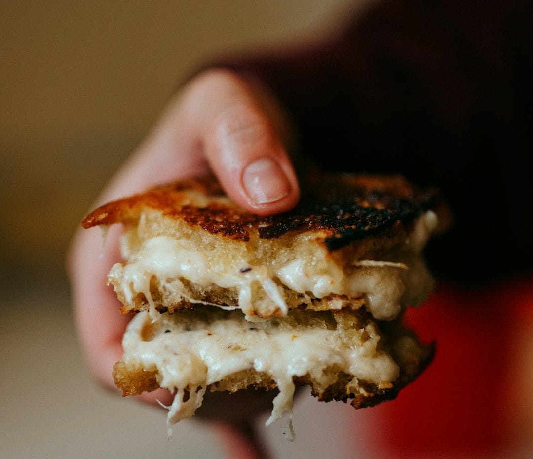 person holding brown and white bread