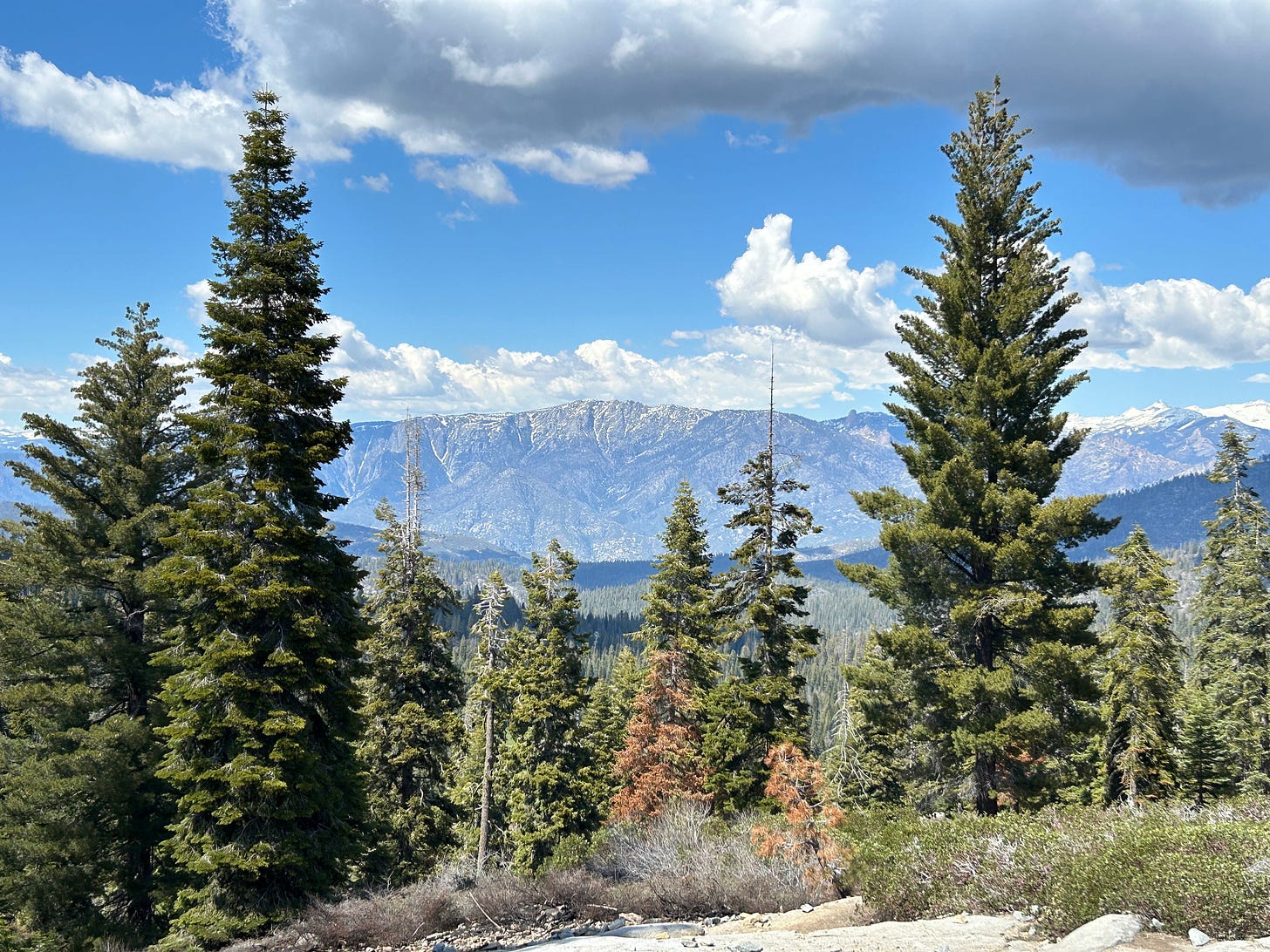 Visiting Kings Canyon National Park