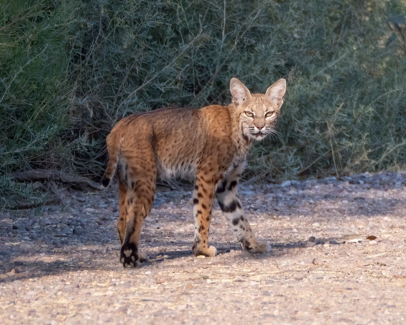 20240724-Sweetwater-28-Edit.jpg