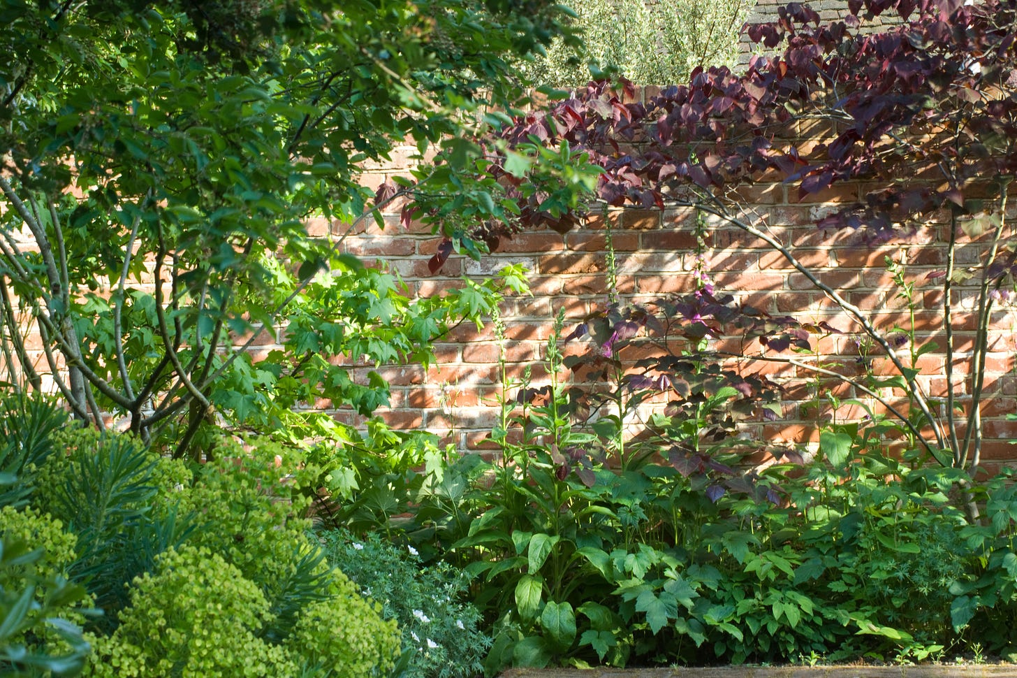 a cottage garden and an old brick wall