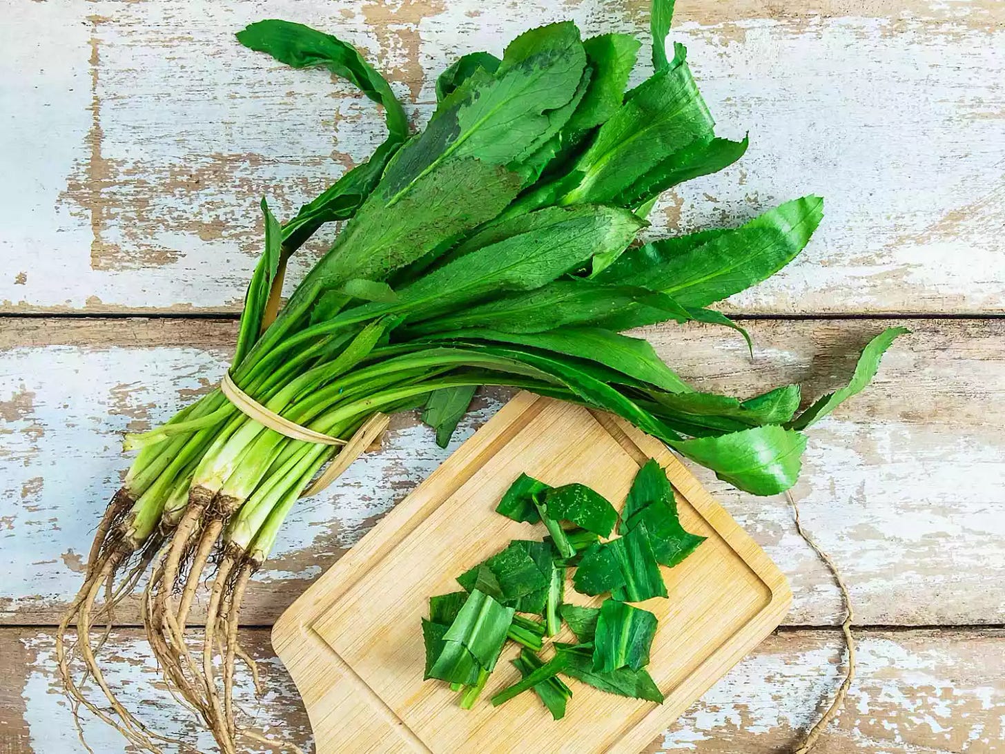 A bundle of culantro with some chopped culantro on a small wood cutting board.
