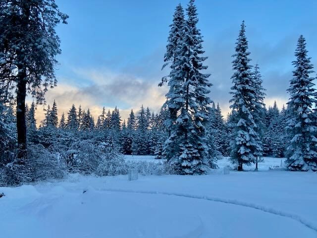 Winter Scene on the homestead