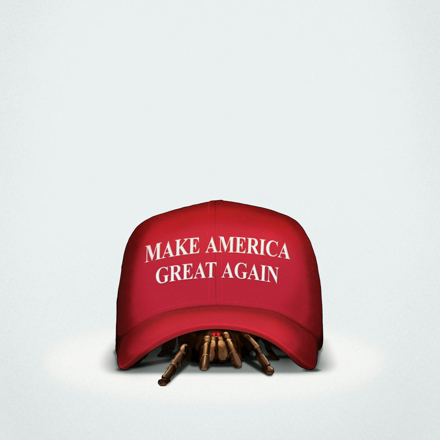 A tarantula under a red MAGA hat 