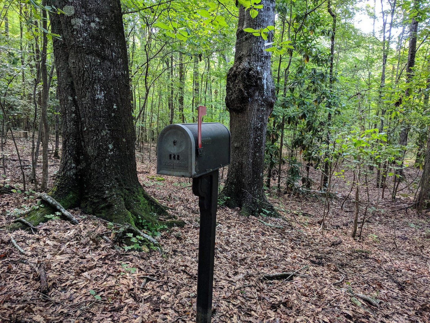 I had an old mailbox so I hid it in the woods with a dollar and a note that  says "Hahaha! You found me!" : r/Breath_of_the_Wild