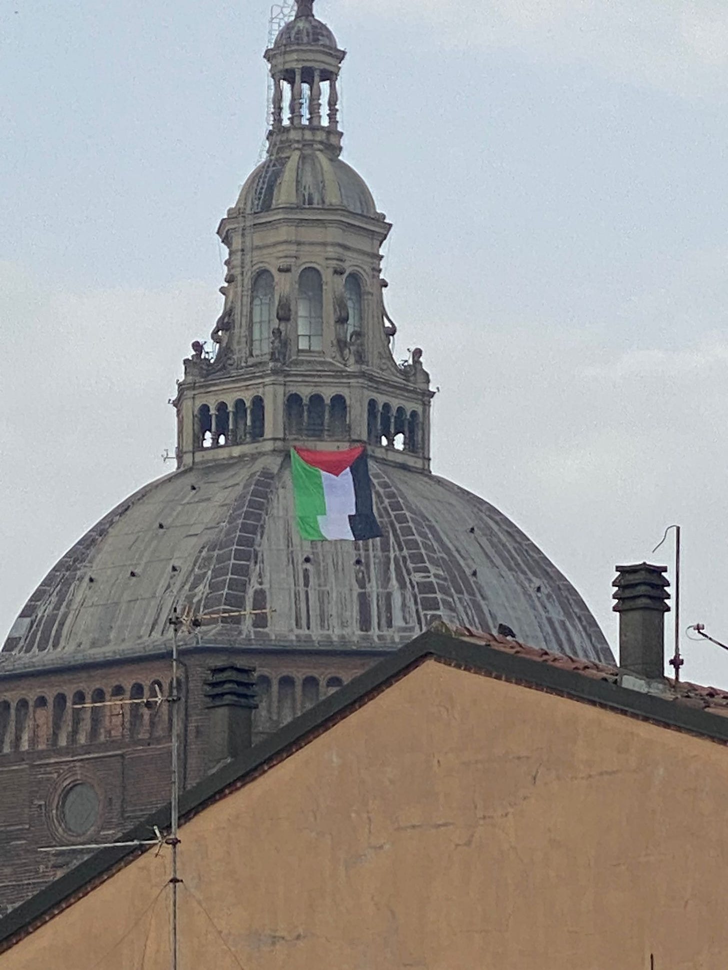 Bandiera Palestina Duomo di Pavia