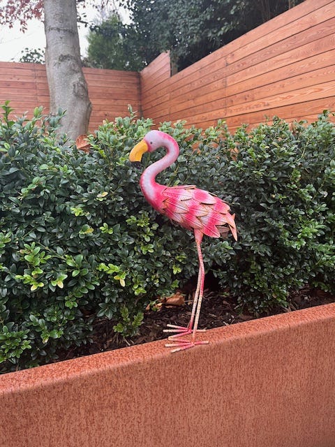 Image By Author - Flamingo