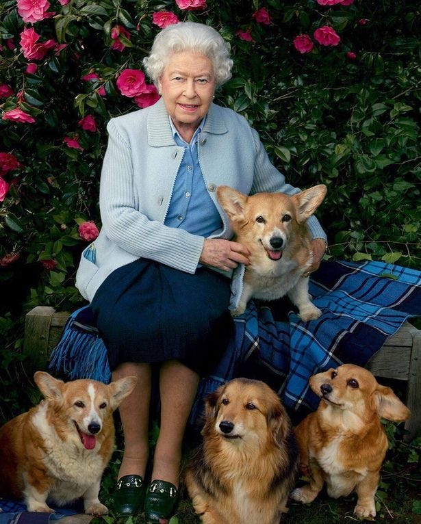 The Queen and some of her very best friends