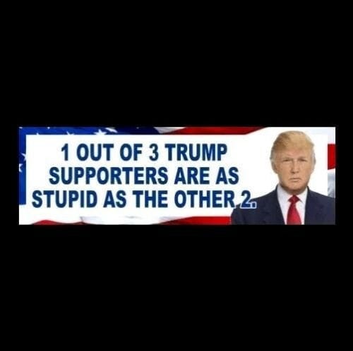 Funny "1 Out of 3 Trump Supporters Are As Stupid As The Other Two" Anti  Donald Trump BUMPER STICKER, Anti Republican political decal, new